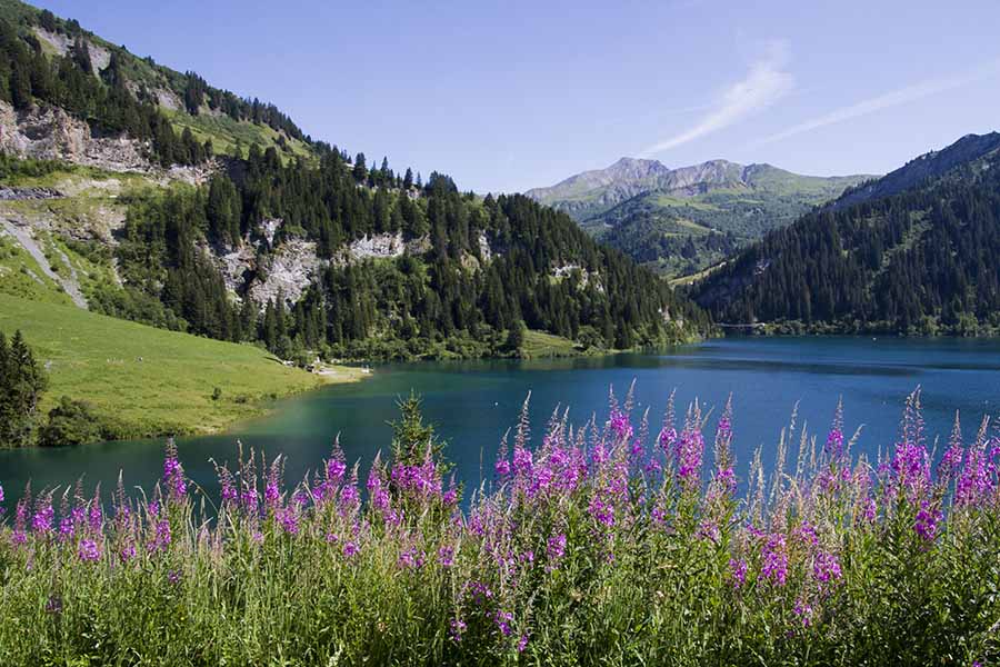 photo du lac de Saint-Guérin